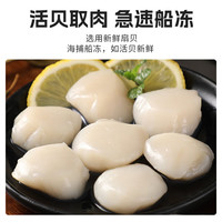 朵芙冷冻扇贝柱大号500g 火锅烧烤食材原浆扇贝柱 瑶柱 生鲜贝类 扇贝柱1500g(60/80规格)