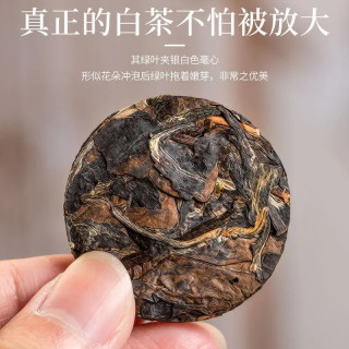 Gymoon 茶叶 25g 5饼