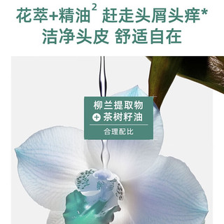  SANSEN/三生花 去屑止痒 洗发水  7.5ml*7