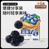 三只松鼠 中国大陆 蓝莓干 16g*5袋