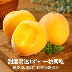 粤迎 山东蒙阴黄桃新鲜时令桃子 高山黄桃生鲜 5斤精选果净4.5斤