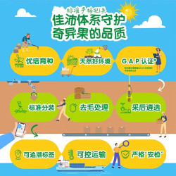 佳沛 新西兰奇异果阳光金果奇异果黄心猕猴桃 27粒巨大果单果124-147g