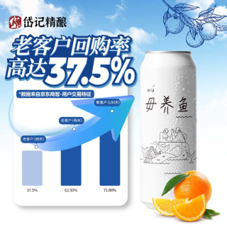 岱记精酿 精酿白啤 330mL 24罐 整箱装