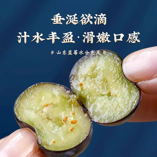 山东蓝莓鲜果特大果现摘现发自带花香蓝梅一整箱露天蓝莓