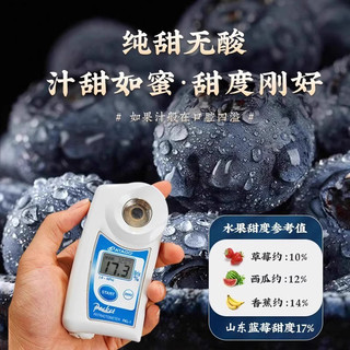 山东蓝莓鲜果特大果现摘现发自带花香蓝梅一整箱露天蓝莓