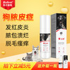 布尔 Bullvet 宝炎净焱静狗皮肤问题脚趾间炎宠物掉毛湿疹脓皮消炎喷剂套餐