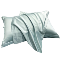 南极人A类抗菌仿天丝枕套cm一对防螨枕头套亲肤双人枕芯套