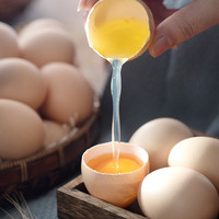 柴小旦农家散养新鲜谷物蛋 现捡土鸡蛋生鲜 16枚装