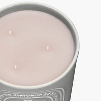 蒂普提克（Diptyque）炭木香薰蜡烛600g 婚宴宴会厅级香氛 结婚