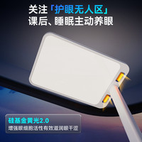 Under Sky 立式大路灯 儿童护眼灯  可调节色温 天际白 100W-300W