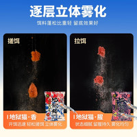 钓鱼地狱猫昆虫蛋白鱼饵冬季腥香黑水虻幼虫浓腥饵料鲫鱼黑坑用
