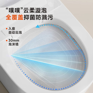  RIIFO/日丰卫浴 无水压限制 智能马桶一体机