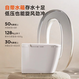  RIIFO/日丰卫浴 无水压限制 智能马桶一体机