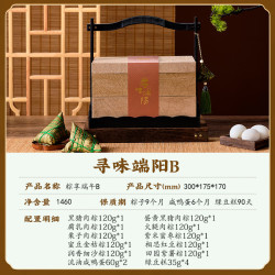 久知味 粽子礼盒嘉兴粽子八方粽礼礼盒2025鲜肉嘉兴特产 寻味端阳B