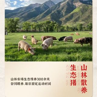 山林大红上海狮子头520g 红烧肉丸卤味特产加热即食预制菜 源头直发