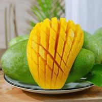 花慕辰云南大青芒果新鲜采摘水果当季青皮 9斤装 单果400g+ 包装 大青芒 净重8.5斤