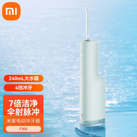 米家 MIJIA F300 冲牙器 绿色