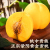 裕琼蒙阴黄桃山东蒙阴黄金毛桃子脆甜新鲜当季现摘水蜜桃水果整箱 精选蒙阴黄桃