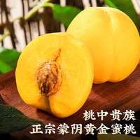 裕琼蒙阴黄桃山东蒙阴黄金毛桃子脆甜新鲜当季现摘水蜜桃水果整箱 5斤精选蒙阴黄桃【单果100g+】