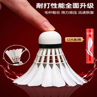 李宁 LI-NING凯胜羽毛球鹅毛KGB05室外专业KDB03室内外耐用鸭毛训练球 KN1黄色尼龙球两桶装 12只