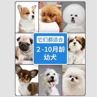 狗粮小型犬幼犬粮1.5kg美毛泪痕管理泰迪柯基博美法斗粮组合