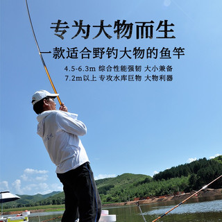 化氏 龙纹鲤龙纹4代四代鱼竿超硬超轻钓竿大物手竿37调鱼杆手杆钓鱼 9.4m 龙纹鲤四代31尺