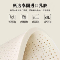 红豆乳胶记忆棉床垫软垫家用卧室榻榻米海绵180x200租房床褥垫子 白绿双拼-6cm厚 120cm*190cm