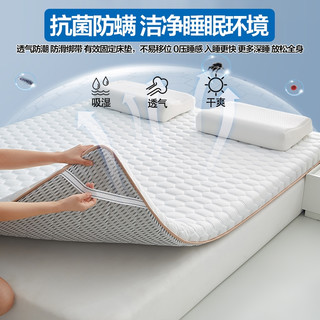 乳胶床垫软垫家用卧室榻榻米垫被宿舍单双人床垫褥子租房 元气灰约4cm【天然乳胶填充★护脊助眠】