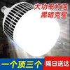 最嘉 FIRSTGIA led灯泡商用节能灯白光超亮大功率室内照明灯工厂e27螺口灯泡 65W-白光E27螺口