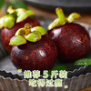 同城果鲜（tongchengguoxian）泰国山竹【多地次日达】特大果新鲜麻竹水果源头直发 【超大果分享装】6A2斤 单果90g+