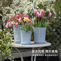 芷郁 树脂塑料花盆 小号 绿萝月季多肉 室内阳台