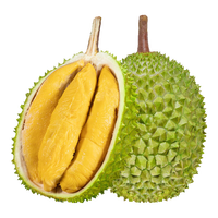 城南堡花马来西亚猫山王榴莲D197冷冻液氮新鲜水果【顺丰空运】 净重1.9-2.5斤【大果更优惠】