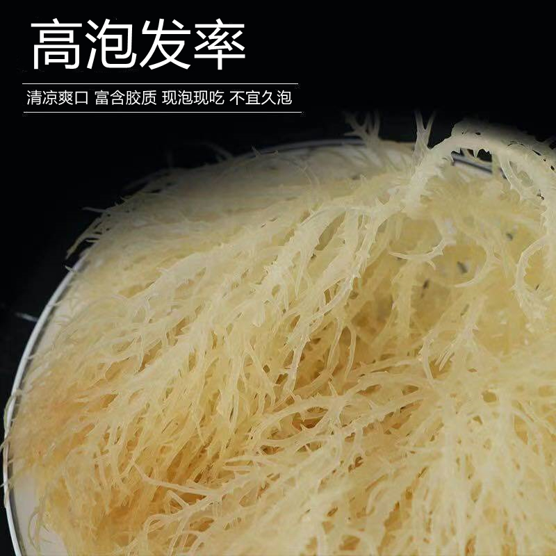 龙须菜新鲜凉拌菜半干货石花菜新鲜特级海藻菜鹿角500克
