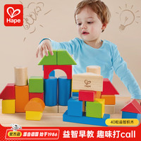 Hape E8321 40粒积木