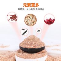 化氏鲫鱼饵料昆虫元素野钓鱼饵大味型高穿透强聚鱼久钓鱼饵大红鲫 高温【昆虫元素+水果元素】