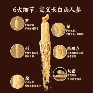 汇仁长白山整支人参5年足龄古法晾晒送礼佳品营养补品送长辈泡酒 人参（约）