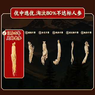 汇仁长白山整支人参5年足龄古法晾晒送礼佳品营养补品送长辈泡酒 人参（约）
