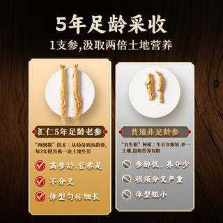 汇仁长白山整支人参5年足龄古法晾晒送礼佳品营养补品送长辈泡酒 人参（约）