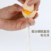 涢安现捡新鲜土鸡蛋农家谷物土鸡蛋营养喂养源头农场直发直卖