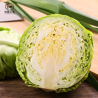 绿源禾心有机卷心菜新鲜采摘绿甘蓝大头包菜圆白菜沙拉辅食无农残蔬菜 1斤