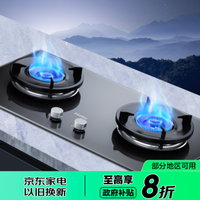 海尔 Haier JZT-Q2BA(12T) 嵌入式双眼燃气灶 5.2kW 天然气