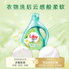 立白 小苍兰柔顺香氛洗衣液 1kg*1瓶 小苍兰香