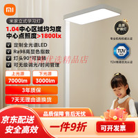 米家 MIJIA 立式学习灯大路灯落地护眼台灯儿童学生阅读写作业钢琴灯 钢琴灯 钢琴灯小米