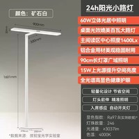 孩视宝 护眼大路灯儿童全光谱学习台灯桌面钢琴书桌立式落地灯