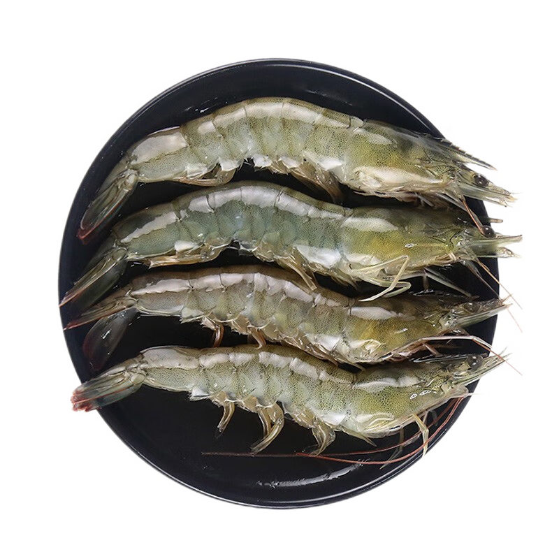 喵和渔鲜活大虾 海白虾 活虾鲜活发货海捕虾类 不可生食 (净重)