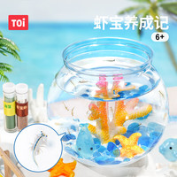 TOI虾宝养成记科学玩具养殖生命孵化观察玩具小实验套装 虾宝养成记