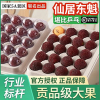 仙居杨梅 浙江仙居东魁杨梅新鲜水果礼盒物品 仙居特级果3斤60枚装 7A级｜特级果