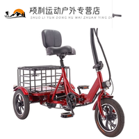 惠珍裕禁止非法改装老人脚踏两用电动三轮车小型折叠电动助力自行车 红色单座+48V12A锂电池电3 48V(不发北京)
