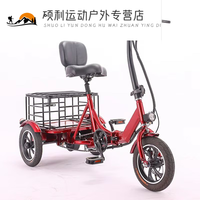 惠珍裕禁止非法改装老人脚踏两用电动三轮车小型折叠电动助力自行车 红色双座+48V12A铅酸电池 48V(不发北京)