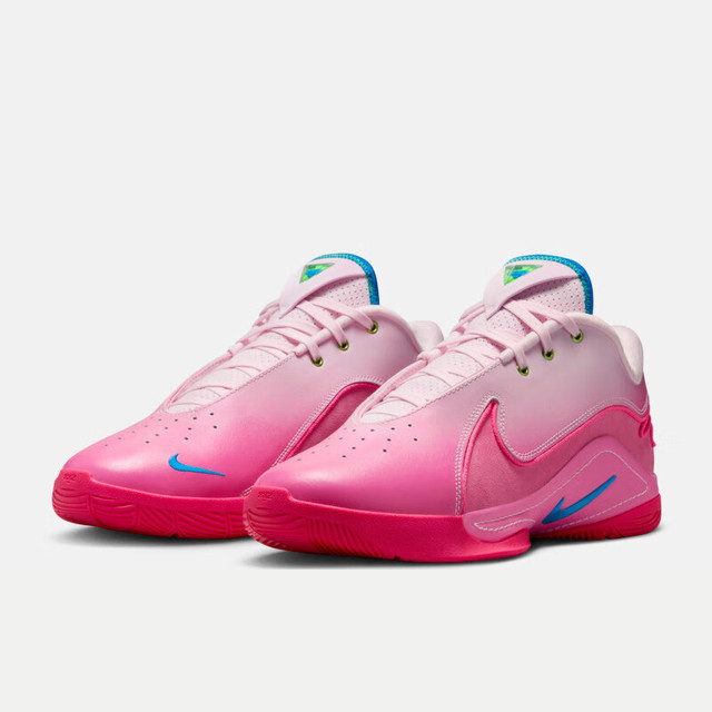 NIKE 男子篮球鞋LEBRON XXII SN EP运动鞋HV8456-600 泡沫粉 42